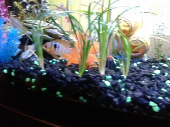 1426217_10201504206301159_577064167_n.webp