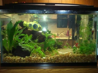 2014-01-18 21.18.07.webp