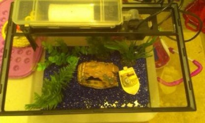 1390422458095.jpg 1390422458095.jpg