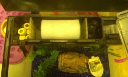 1390422481884.jpg 1390422481884.jpg