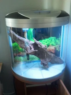 tank.webp