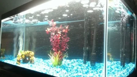 Day.2.tank.webp