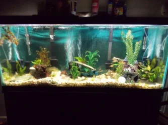 Tank 1-30-2014.webp