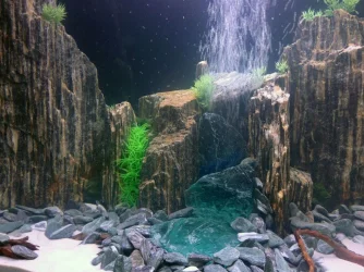 closeupnew.webp