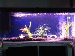 photo2.JPG photo2.JPG