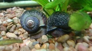 DSC04945_20140204155504592.webp