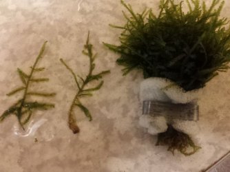 20140207_221515.jpg