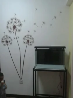 20130819_182055-1.webp