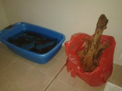 20130819_182018-1.jpg 20130819_182018-1.jpg