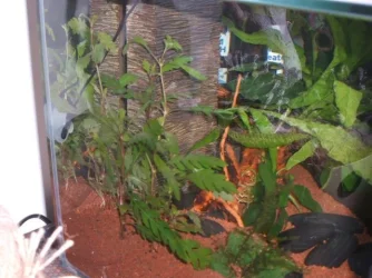 DSCF2010.webp