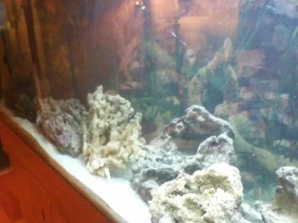 picture058.webp