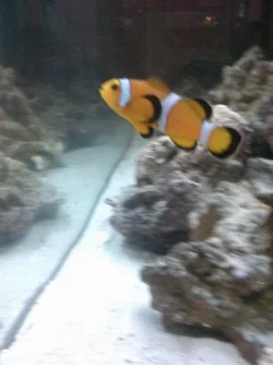 1908226_627032544013401_202232009_n.webp