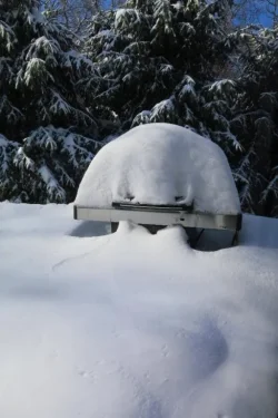 wintergrill.webp
