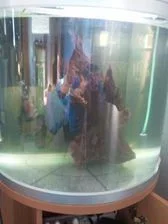 tannins.webp tannins.webp