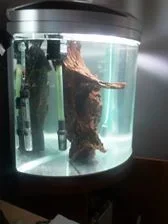 driftwos..webp driftwos..webp