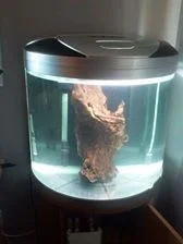 driftwooood.webp driftwooood.webp