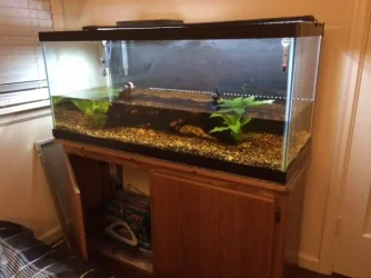 tank2.webp