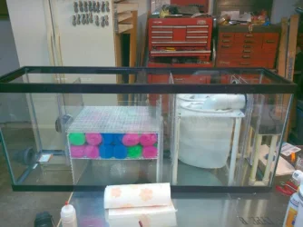 smrps20140308_150619.webp