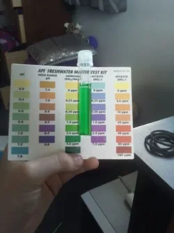 Ammonia reading main.webp