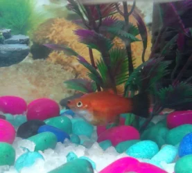 2014-03-14 13.35.16.webp