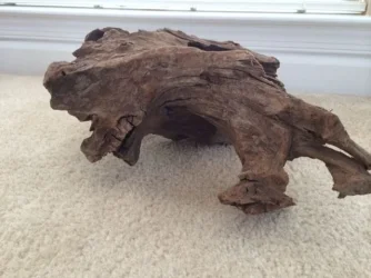 driftwood.webp