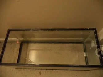 20gal_empty.webp