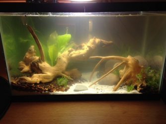 Tank_Cloudy.jpg Tank_Cloudy.jpg