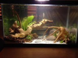 tank_day3.jpg tank_day3.jpg