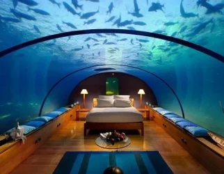 bedroom fish tank.webp