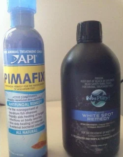 photo 3.webp photo 3.webp