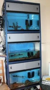 IMG_0007 (2).webp