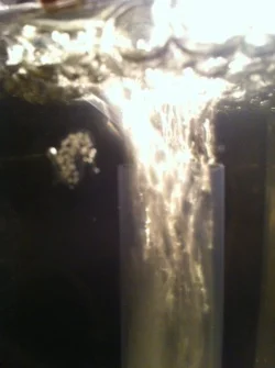 photo 4.webp