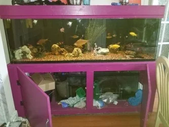 FB_IMG_13959037614358934.webp