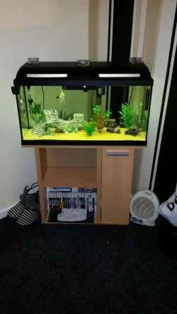 20140404_215334.webp