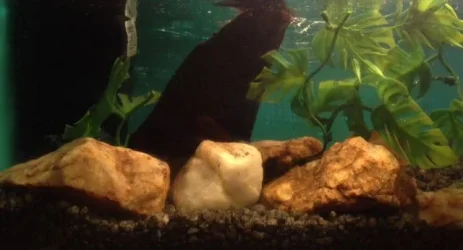 photo (4).webp photo (4).webp