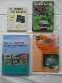 books.webp books.webp