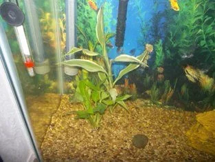 100_0833.webp
