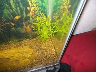 100_0835.webp