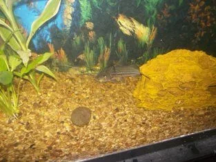 100_0836.webp