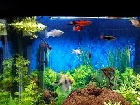 tank at 19 04 2014.webp