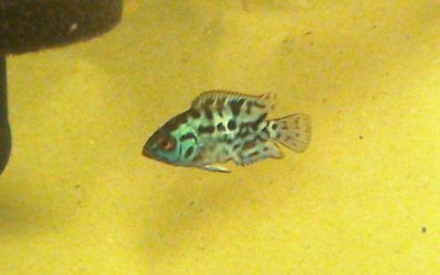 WIN_20140326_111531 (3).JPG