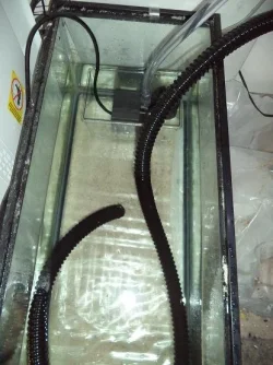 sump1.webp