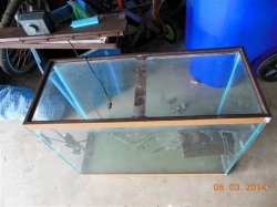 small new tank 002 (Small).JPG