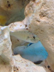 IMG_0679.jpg IMG_0679.jpg
