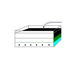 Filter.webp