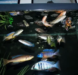 feeding time.webp
