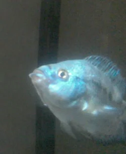 WIN_20140518_233413.webp