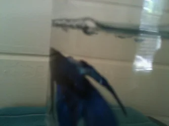 image.webp