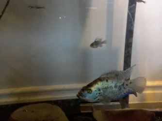 WIN_20140619_173130.webp