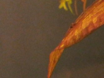 2014-06-19 21.52.54.jpg